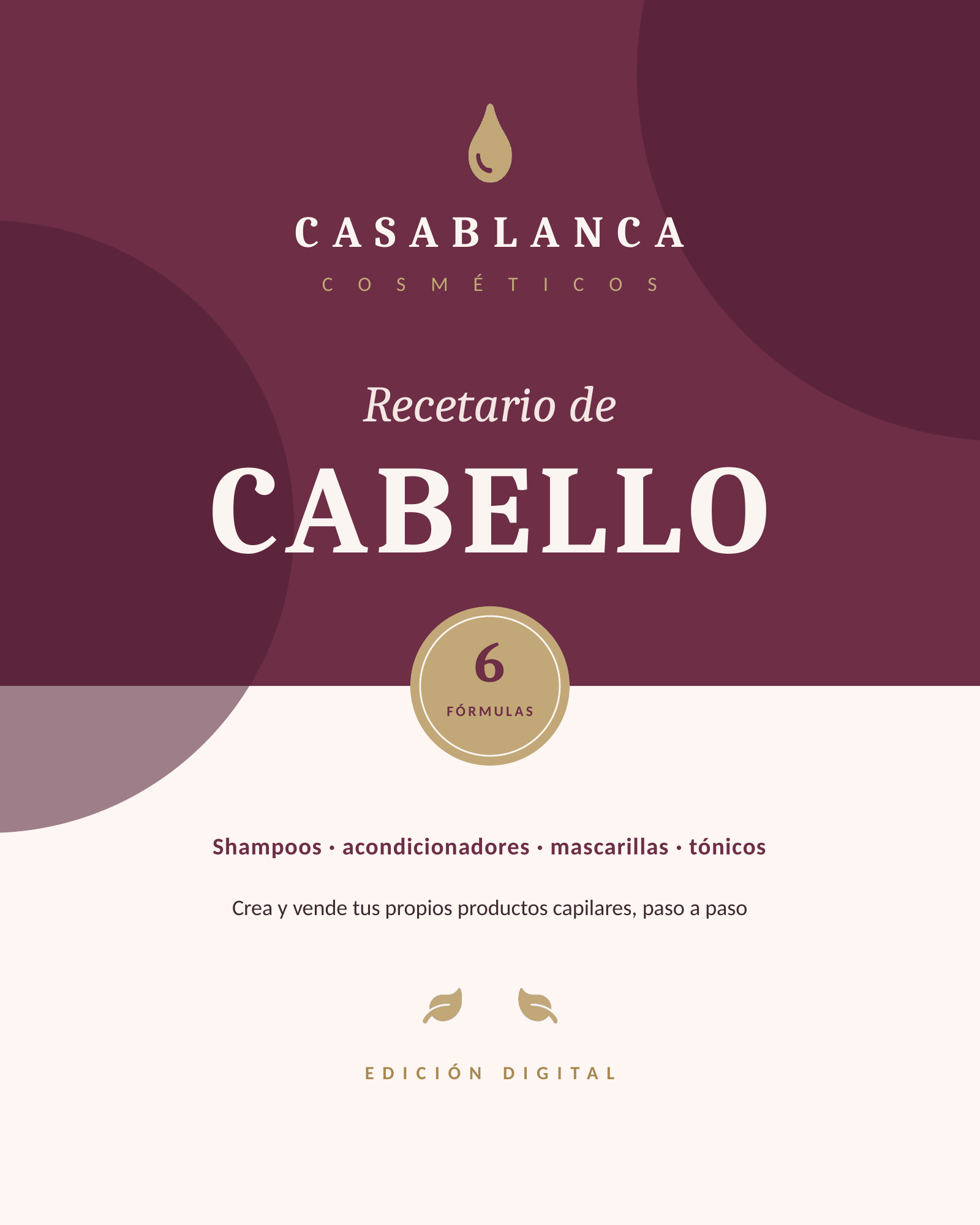 Recetario de Cabello | 6 Fórmulas para Crear y Vender (PDF)